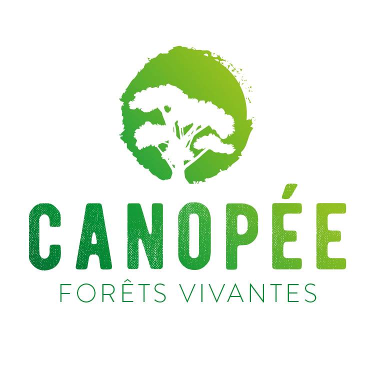Échanges avec Canopée, ONG angevine sur la gestion des forêts