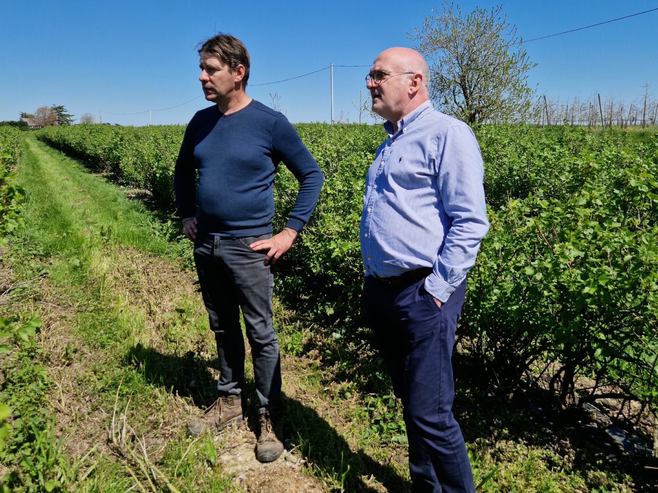 Visite de l’exploitation de M. Clavreul, Marigné, Les Hauts-d’Anjou