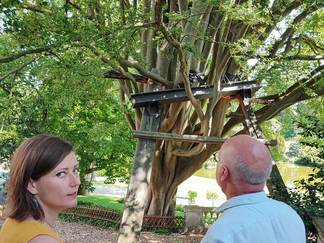 Exposition « Nos arbres dans la ville », Angers