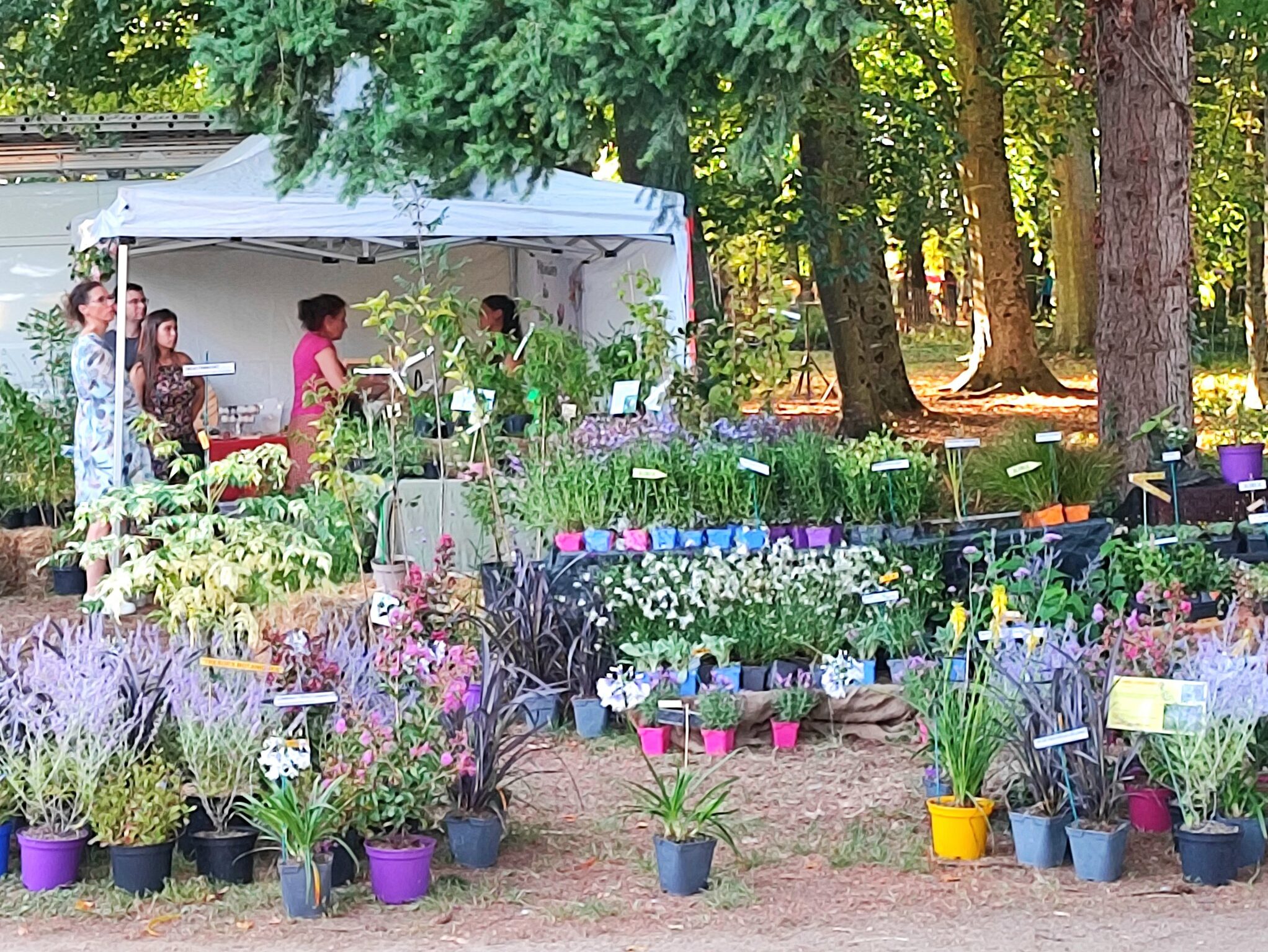 Fête des Plantes, Le Plessis-Grammoire