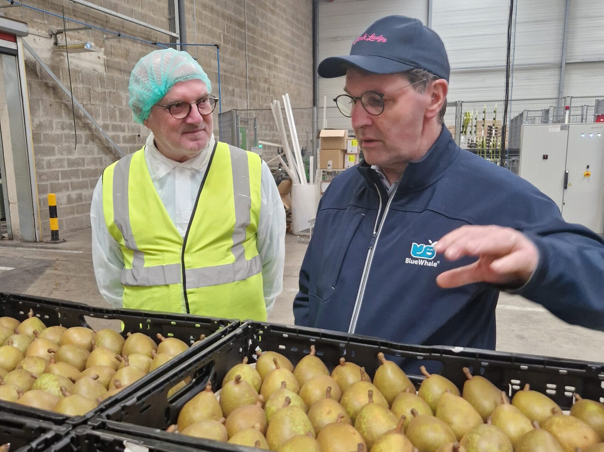 Visite de la coopérative des Vergers d’Anjou, Verrières-en-Anjou