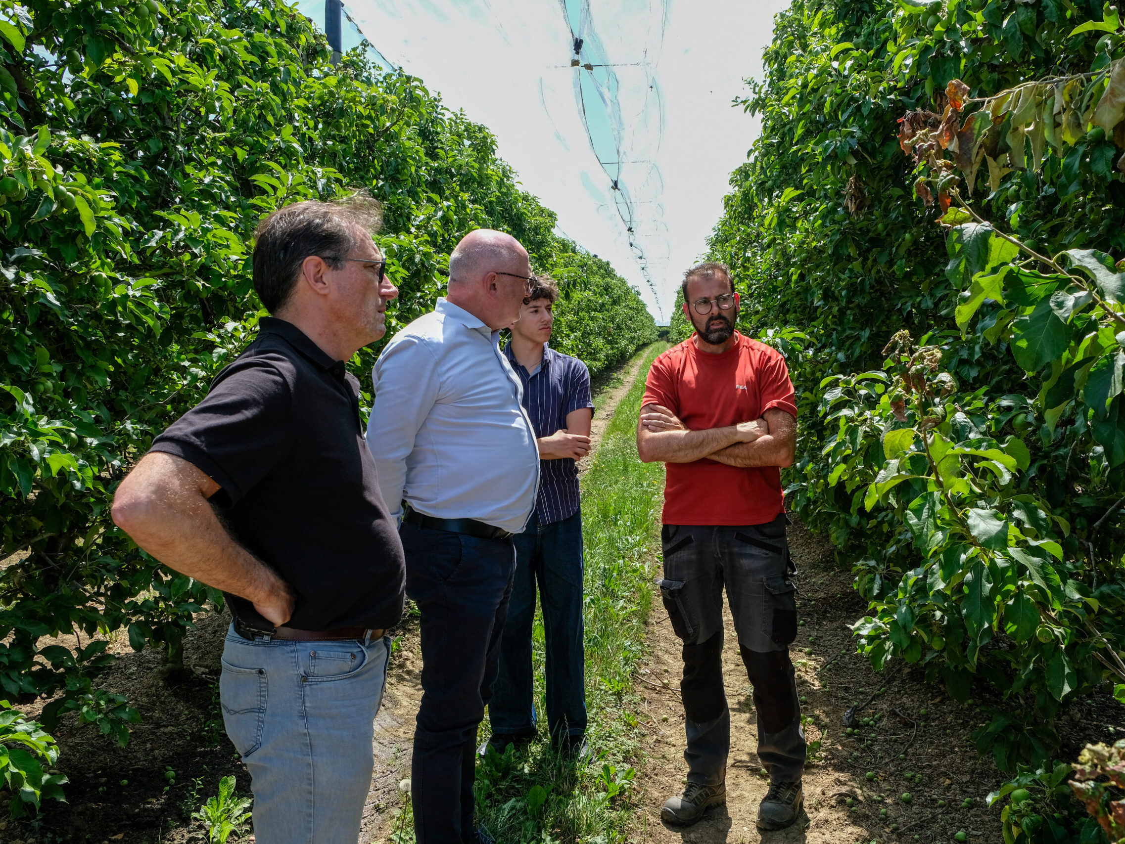 Visite de la société SARAFRUITS : un environnement local écoresponsable