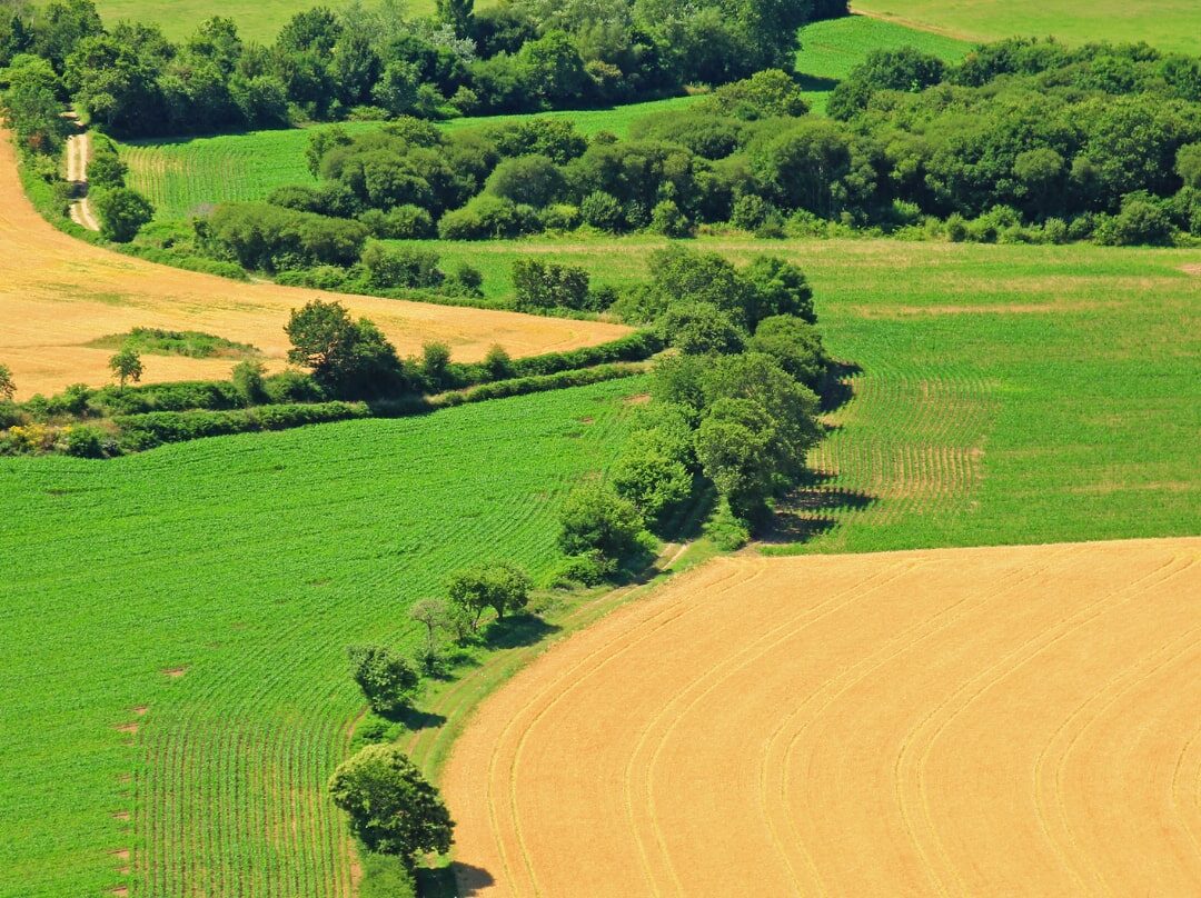 Question écrite à la Ministre de la transition écologique, de la biodiversité, de la forêt, de la mer et de la pêche sur l’avenir budgétaire et la pérennité du pacte en faveur de la haie