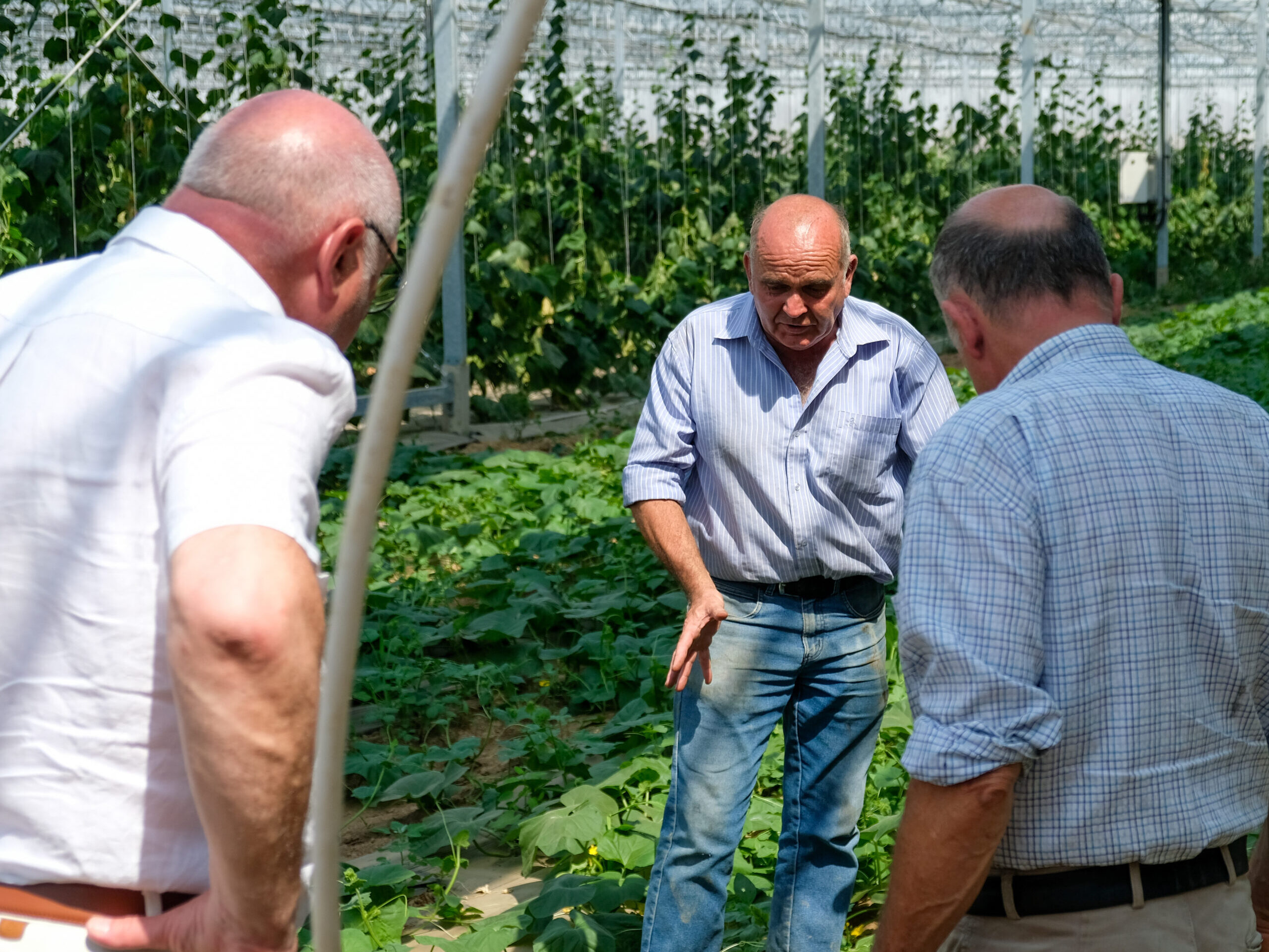 Retour sur ma rencontre avec des agriculteurs de la circonscription, à l’exploitation Lallaouret